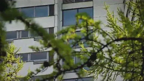 "Мурманск" История гостиницы "Арктика"